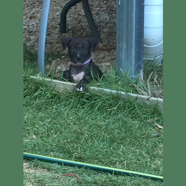 Photo of Audrey