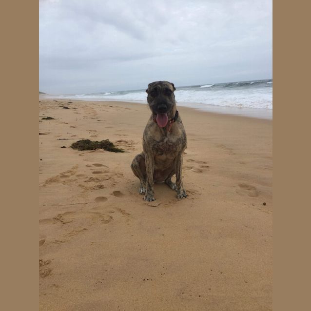 Photo of Roxy