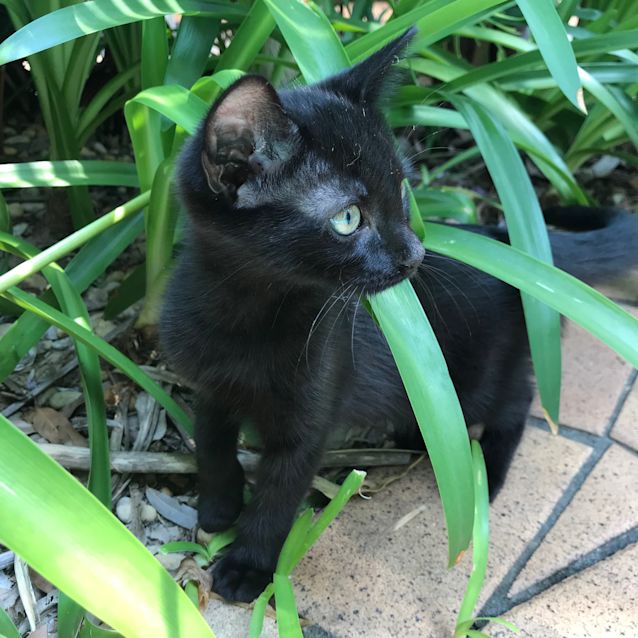 Photo of Sonny