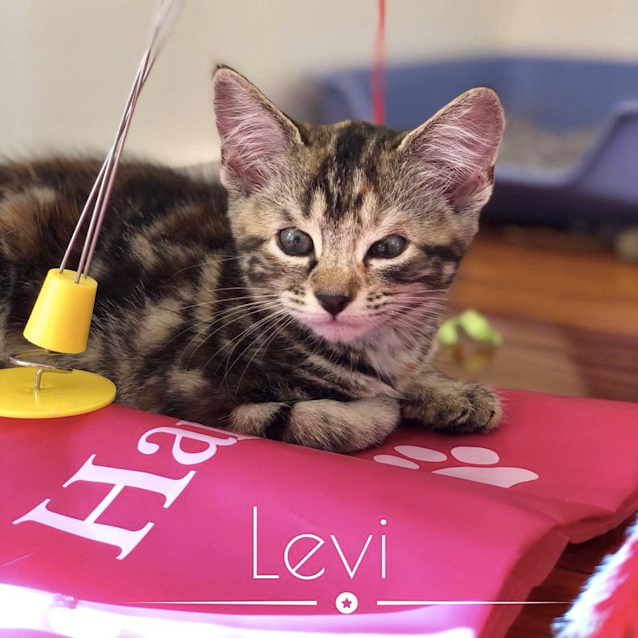 Photo of Miss Levi