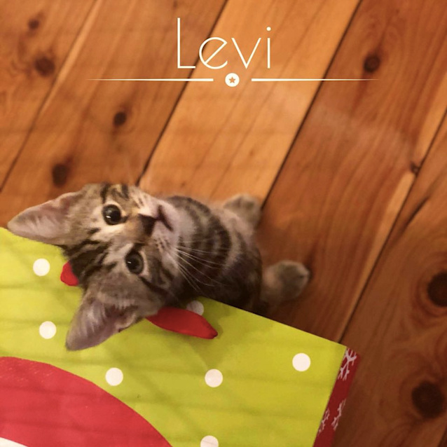 Photo of Miss Levi