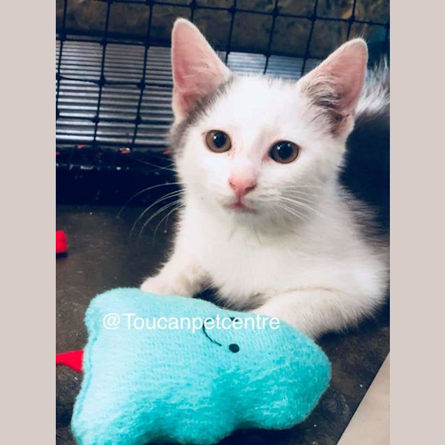 Photo of Jack Junior