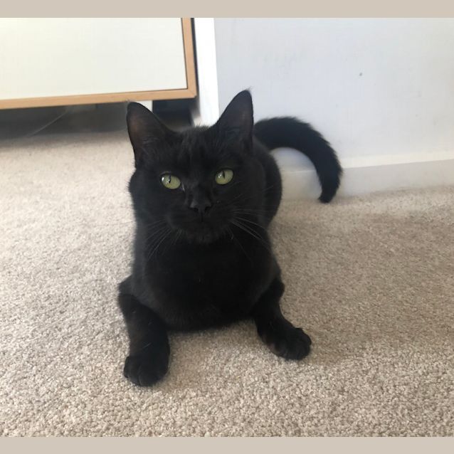 Photo of Hetty
