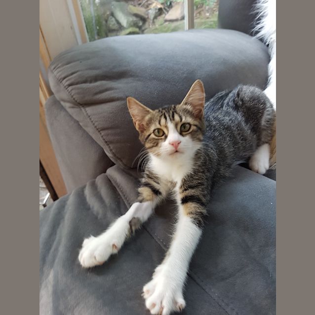 Photo of Priscilla 