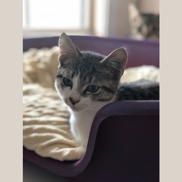 Photo of Leonard
