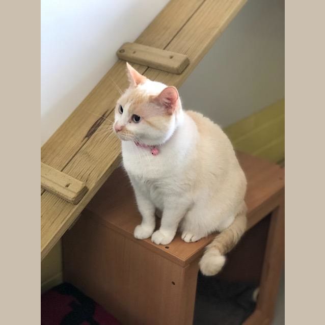 Photo of Yuki