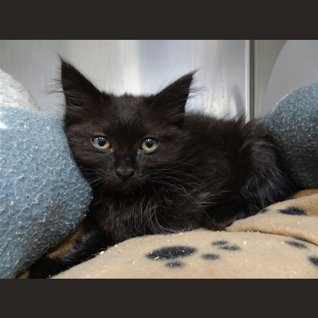 Photo of Dottie