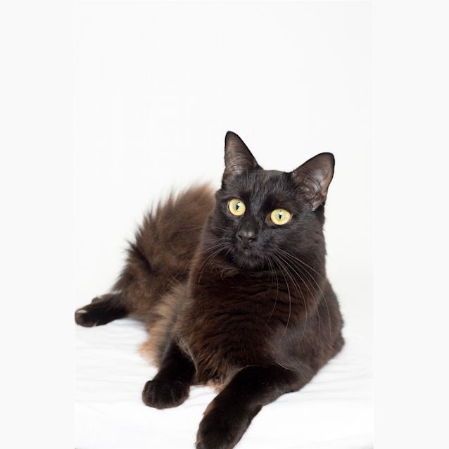 Photo of Neo