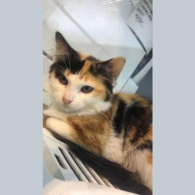 Photo of Thelma