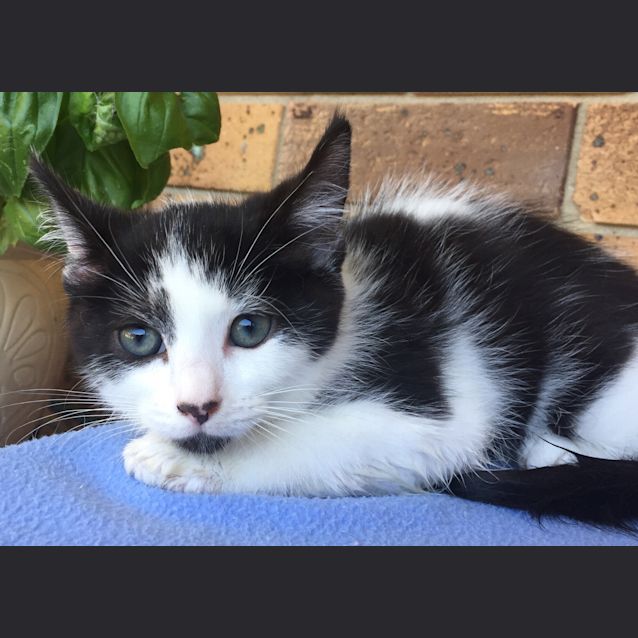 Photo of Geoffrey 