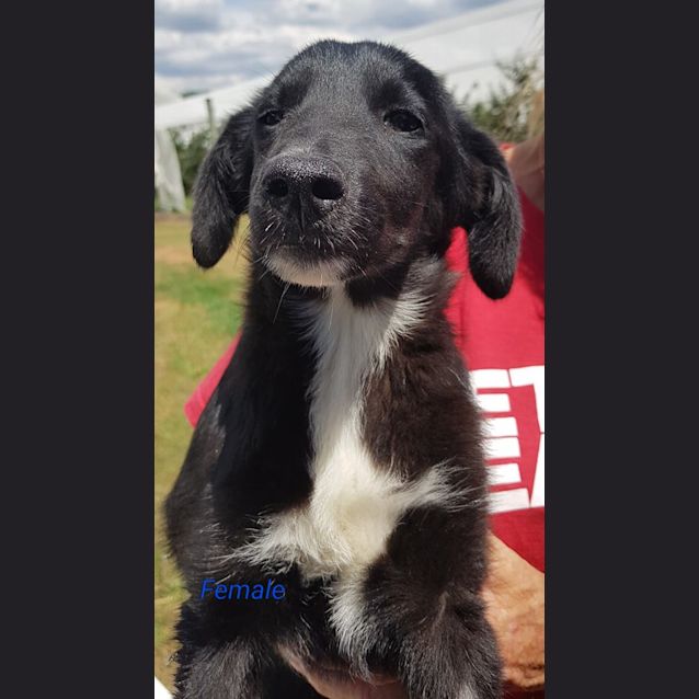 Photo of Matilda