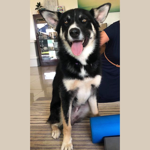 Photo of **On Trial**Zoe