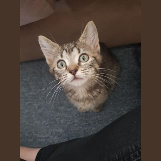Photo of Ralph