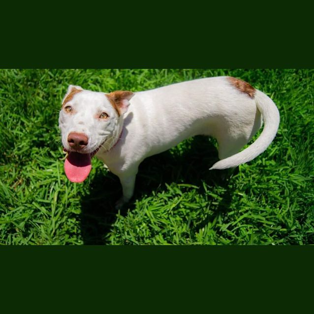 Photo of **On Trial** Shyla