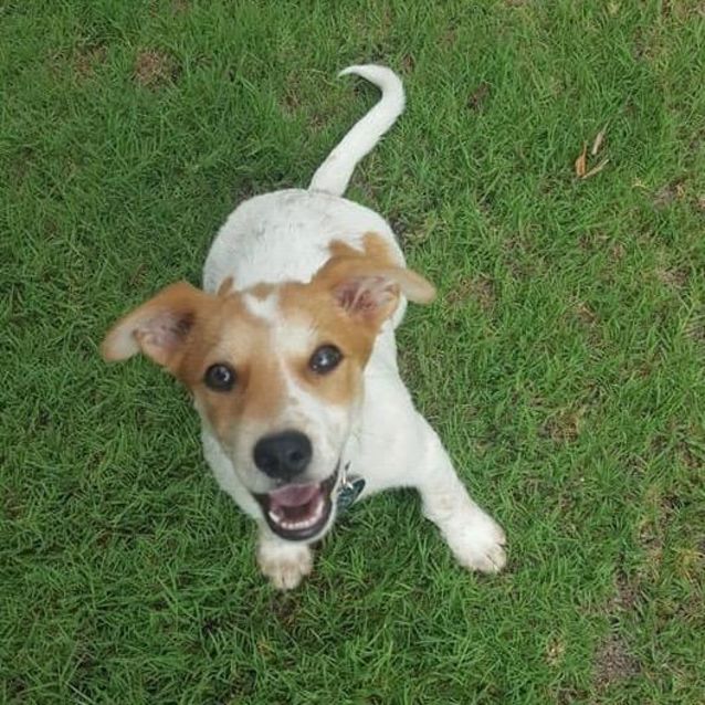 Photo of Peanut