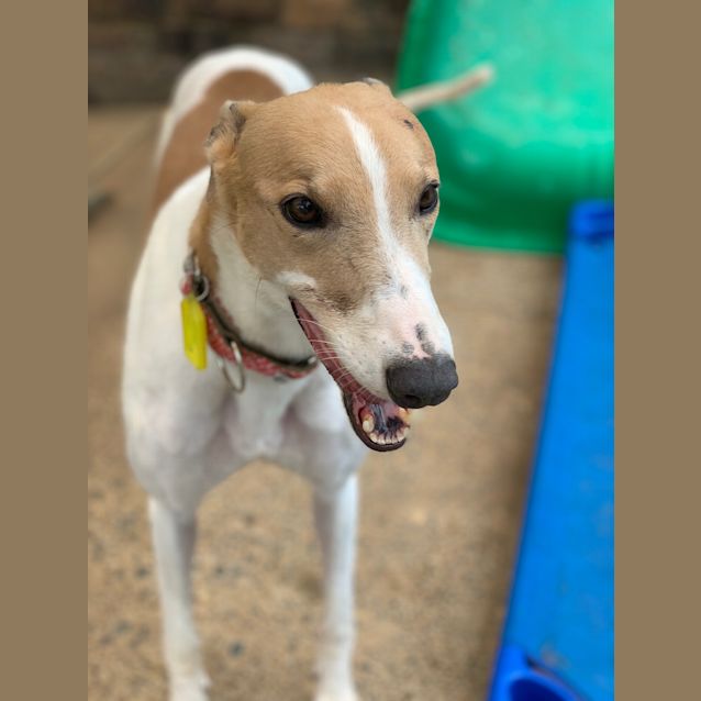 Photo of Jersey (On Trial)