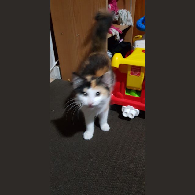 Photo of Thelma