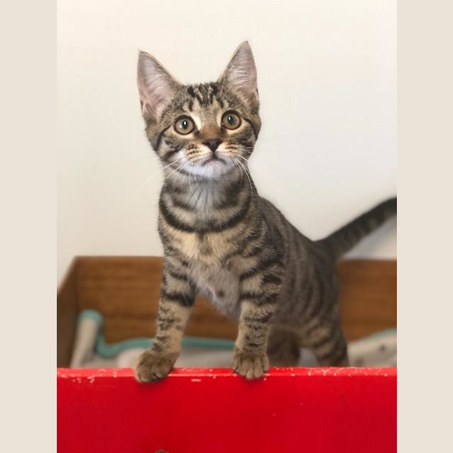 Photo of Alice