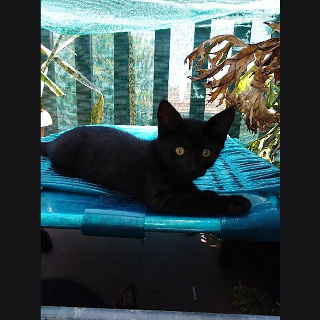 Photo of Timmy On Sale Now