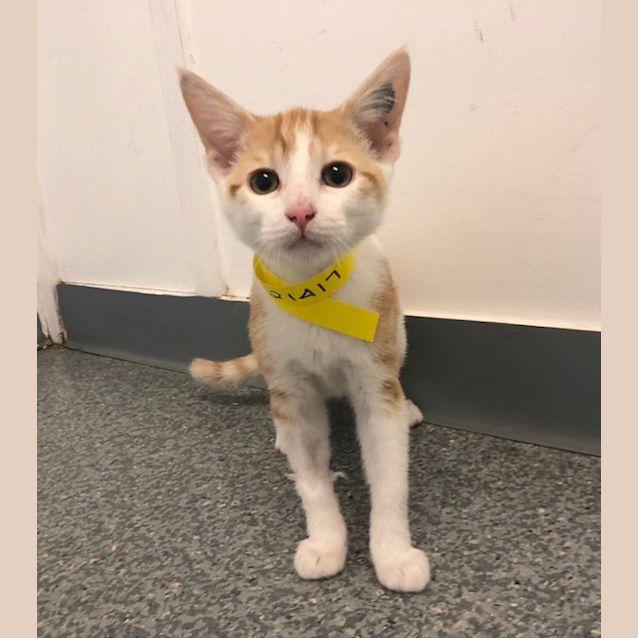 Photo of Steve   K121417