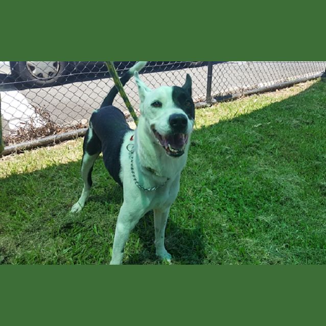 Photo of Trevor   K130693