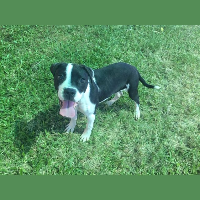 Photo of Lucy   K121010