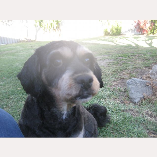Photo of Lucy Dl2062
