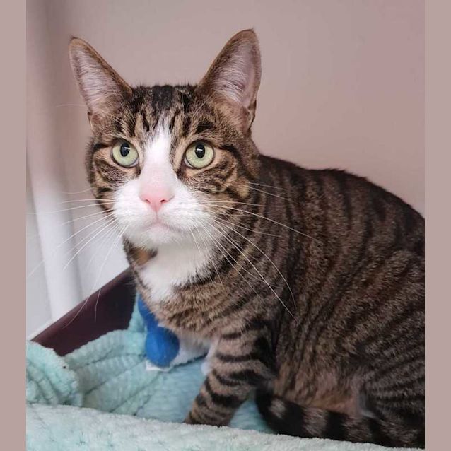 Photo of Mr Jingles