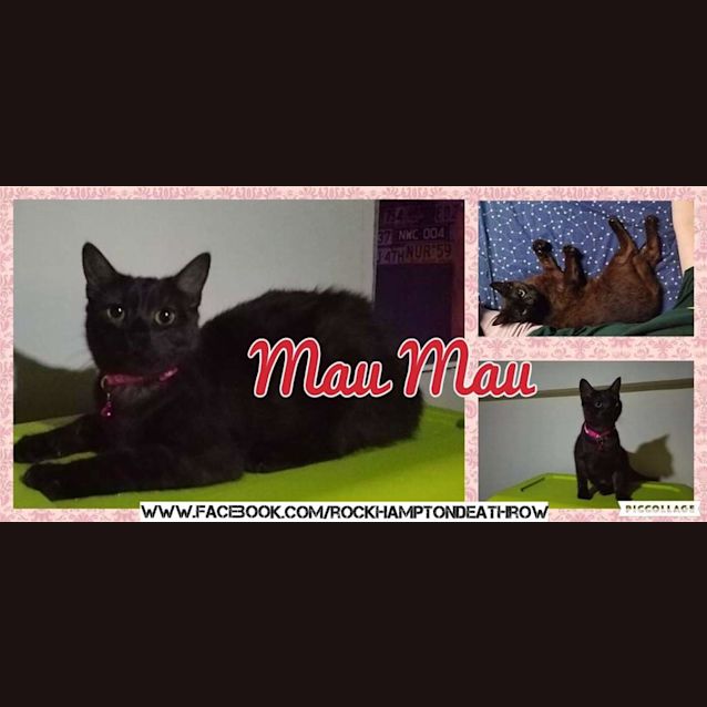 Photo of Mau Mau
