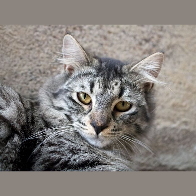 Photo of Nikita