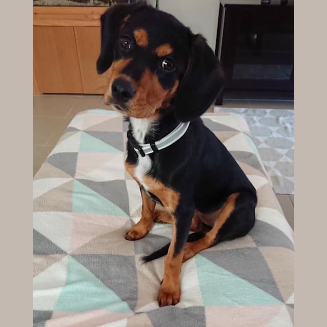 Photo of Miss Pretty Girl 
