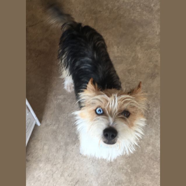 Photo of **On Trial** Arlo