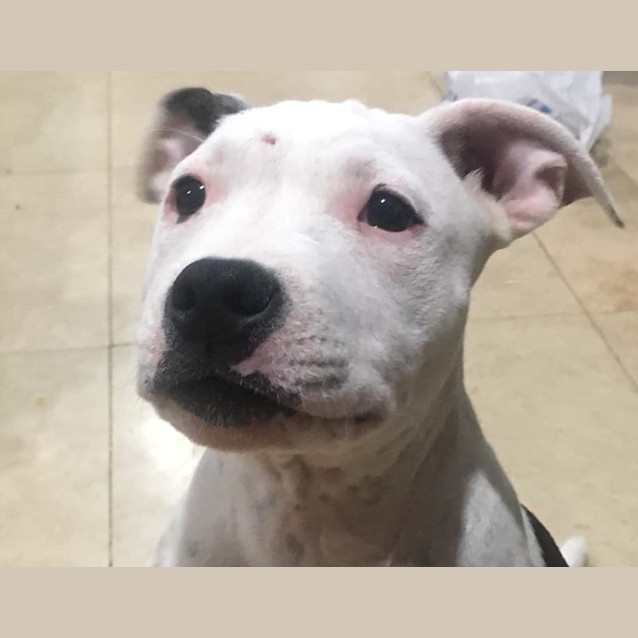 Photo of Sammie