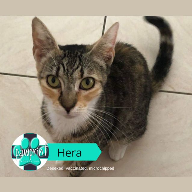 Photo of Hera