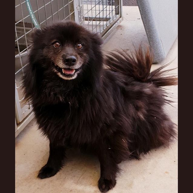 Photo of Cindy