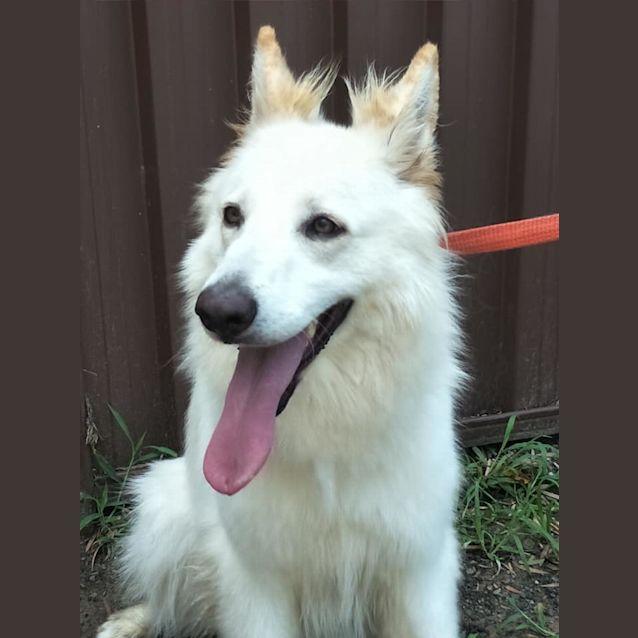 Photo of Mellow