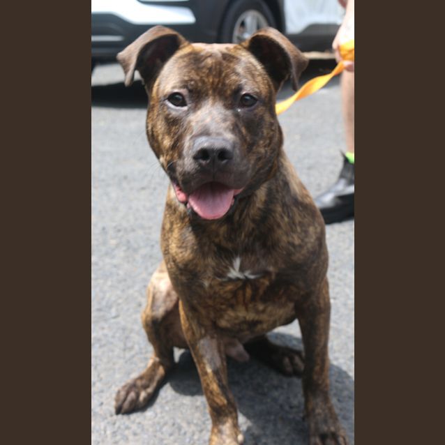 Photo of Jasper