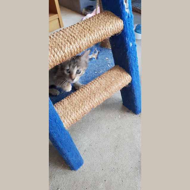 Photo of Princess On Sale Now 