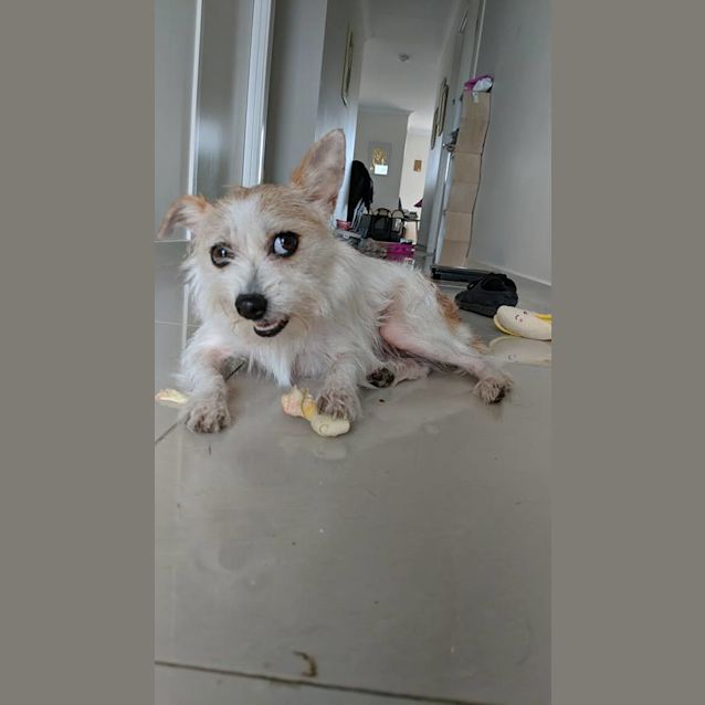 Photo of Maggie