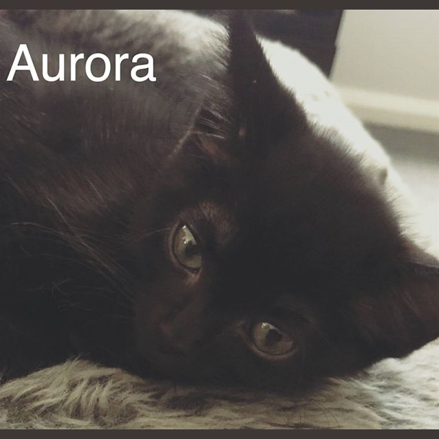 Photo of Aurora