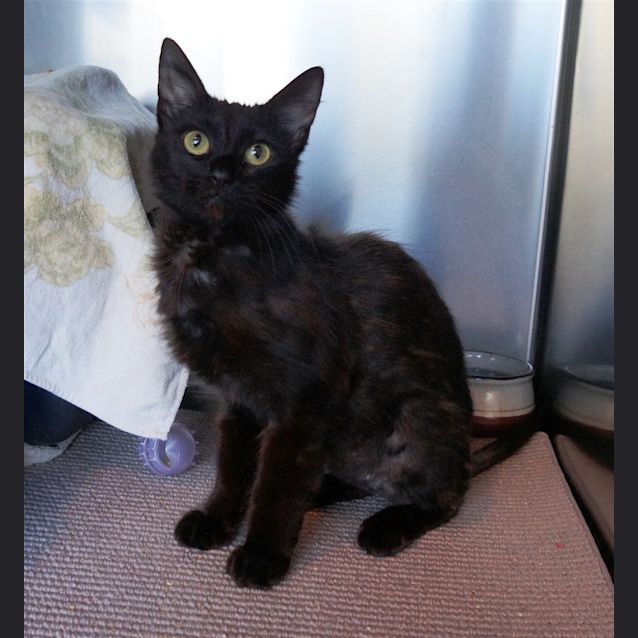 Photo of Tootsie
