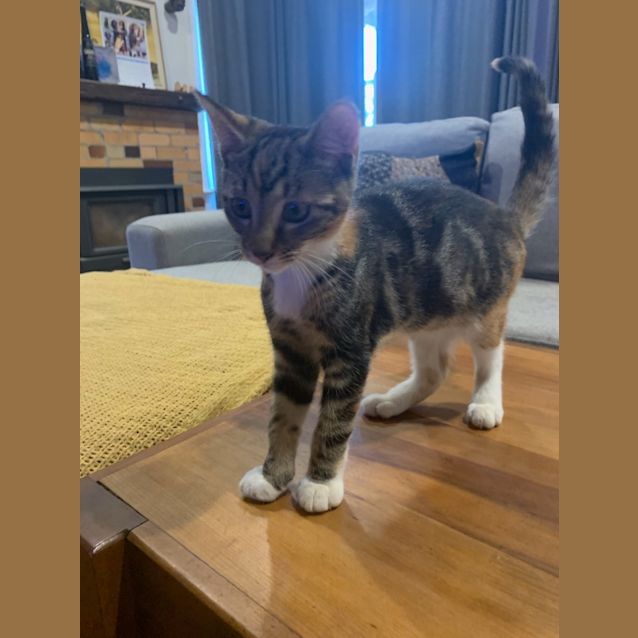 Photo of Astrid