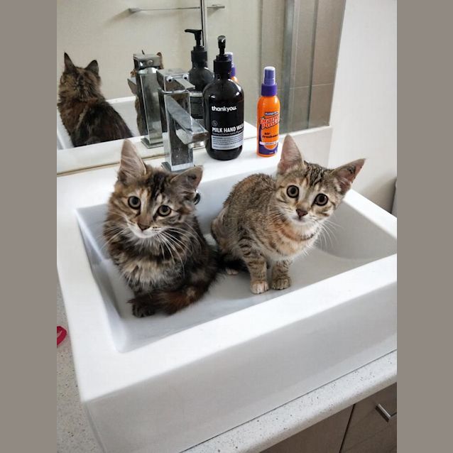 Photo of Rosie & Jacqui