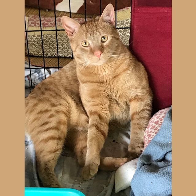 Photo of Fred
