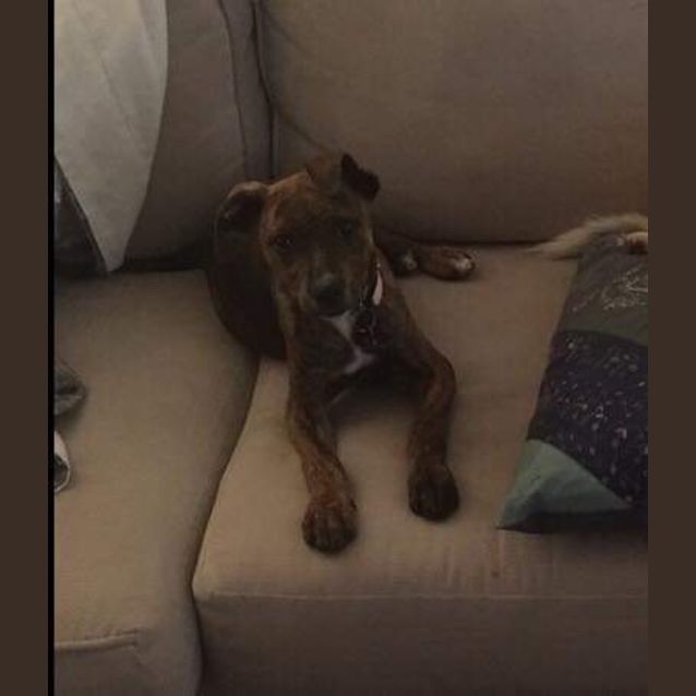 Photo of Maisy