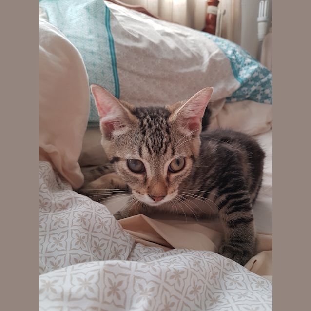 Photo of Chloe
