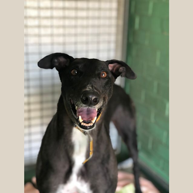 Photo of Jimmy   44545