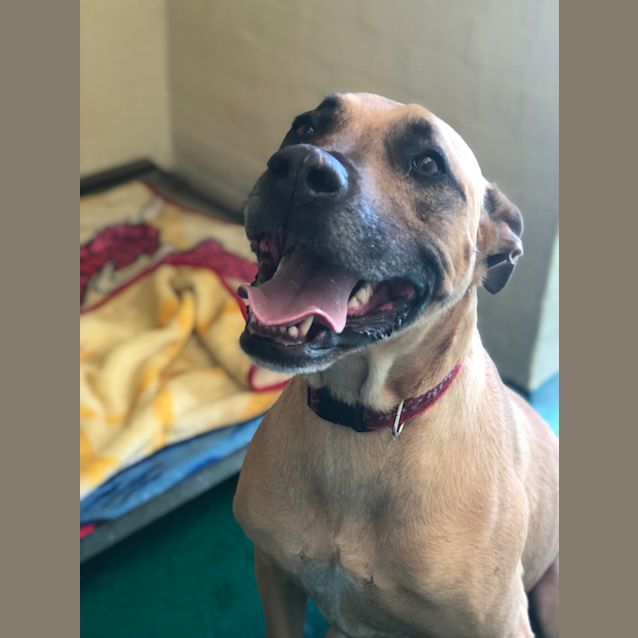 Photo of Molly   Id 45289 