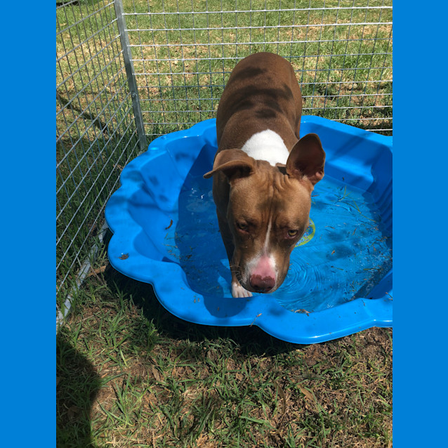 Photo of 1058 Brooke