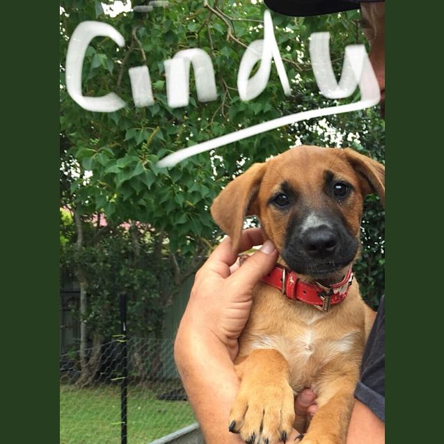 Photo of Cindy